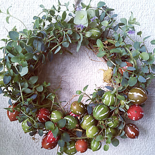 オキナワスズメウリのインテリア実例 Roomclip ルームクリップ