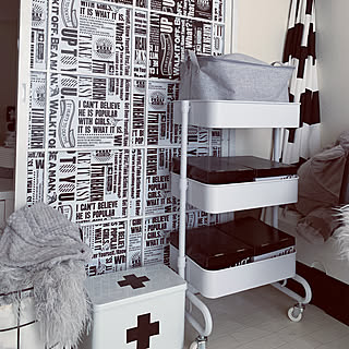 白黒グレーインテリア好き/白黒グレーインテリア/白黒グレー収納/白黒グレー/救急箱...などのインテリア実例 - 2019-06-10 14:38:27