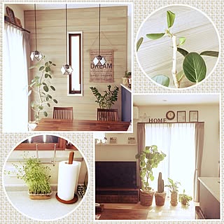 部屋全体/日光浴そして私は入浴(笑)/観葉植物♡/昨日はゴメンねm(._.*)mペコッ/フォロワーさんに感謝感激雨霰!...などのインテリア実例 - 2017-04-02 13:08:47