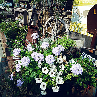 玄関/入り口/ありがとう♡/RCの出会いに感謝♡/いいね&フォローありがとうございます☆/カフェ風インテリアを目指して/ジャンクガーデン...などのインテリア実例 - 2018-08-07 09:33:12