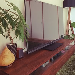 エバーフレッシュの植え替えのインテリア実例 Roomclip ルームクリップ