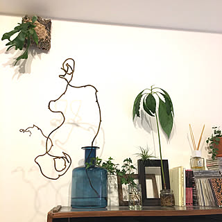 キウイのツルのインテリア実例 Roomclip ルームクリップ キウイのツルのインテリア実例 Roomclip ルームクリップ