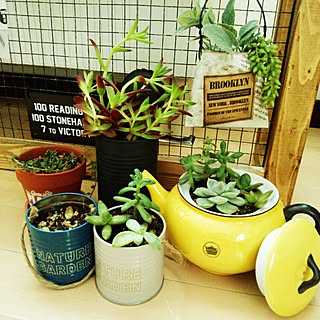 赤鬼城のインテリア実例 Roomclip ルームクリップ