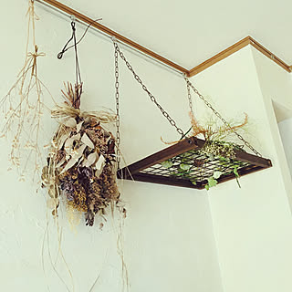 ドライフラワー ピクチャーレール活用のインテリア実例 Roomclip ルームクリップ