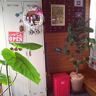 玄関/入り口/観葉植物/築30年/昭和のお家/いいねありがと♡...などのインテリア実例 - 2019-03-28 16:04:26
