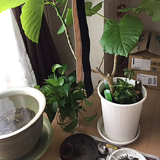 ベッド周り/ドライの段ボール1個捨てれた/プレ企画アレンジポイントする/プレ企画もっとドライ出て来て/爆寝しました(*˘︶˘*).。.:*♡...などのインテリア実例 - 2017-08-19 09:11:57