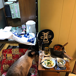 キッチン/宅飲み/マメヲ/Instagram相棒黒マスクのルン/東奔西走ルン...などのインテリア実例 - 2019-02-22 07:10:14