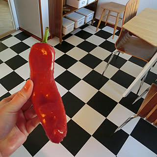 キッチン/北欧/北欧インテリア/野菜/ベジタブル...などのインテリア実例 - 2020-01-20 10:09:11