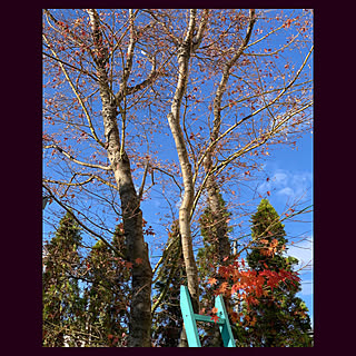 女性の、4LDK、家族住まいの「玄関/入り口」についてのインテリア実例