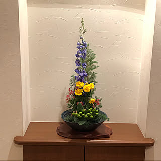 クリスマスブッシュのインテリア実例 Roomclip ルームクリップ