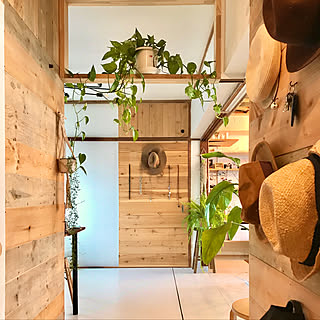 木のぬくもり/賃貸/リノベーション賃貸/ひとり暮らし/植物のある暮らし...などのインテリア実例 - 2020-01-24 15:53:03