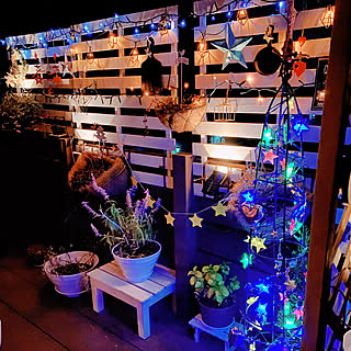 セキチューのインテリア実例 Roomclip ルームクリップ