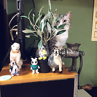 シルバニアファミリー 猫 飼っているのか 遊びに来たのか のまとめページ Roomclip ルームクリップ