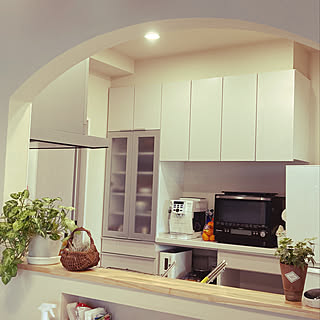 カインズホーム観葉植物 のインテリア実例 Roomclip ルームクリップ