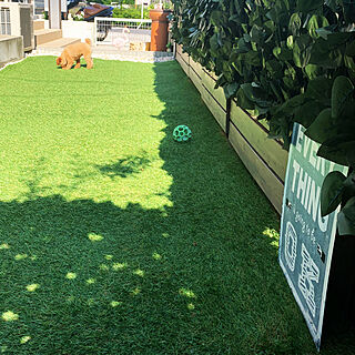 フェイクグリーン 人工芝の庭のインテリア実例 Roomclip ルームクリップ