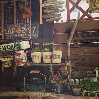 バス/トイレ/NO GREEN NO LIFE/団地/団地 賃貸/賃貸でも楽しく♪...などのインテリア実例 - 2015-03-22 10:32:57