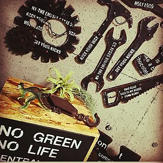 恐竜 シンプルのインテリア実例 Roomclip ルームクリップ