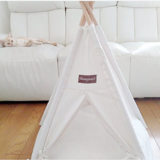 壁/天井/Amazon/ベストいいね賞/♥受賞♥/子猫と暮らす...などのインテリア実例 - 2019-10-21 19:04:06