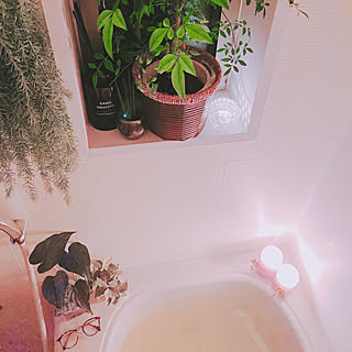観葉植物 お風呂場の窓のインテリア実例 Roomclip ルームクリップ 観葉植物 お風呂場の窓のインテリア実例 Roomclip ルームクリップ
