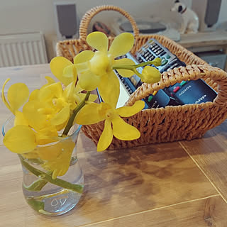 モカラのインテリア実例 Roomclip ルームクリップ