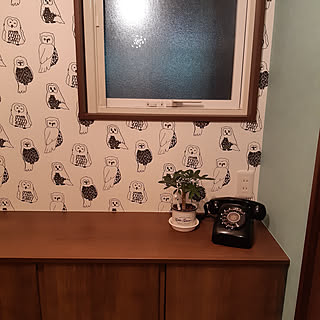 壁紙屋本舗 レトロモダンのまとめページ Roomclip ルームクリップ 壁紙屋本舗 レトロモダンのまとめページ Roomclip ルームクリップ