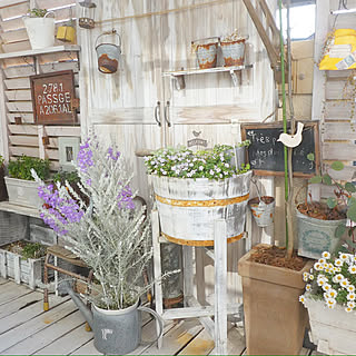 花 ラティスのおしゃれなアレンジ 飾り方のインテリア実例 Roomclip ルームクリップ