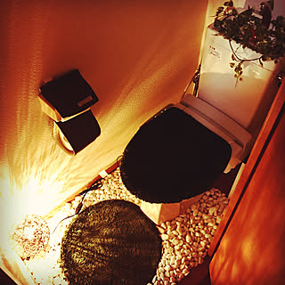 バス/トイレ/トイレ/男前/カフェ風/レオパレス...などのインテリア実例 - 2018-07-26 20:35:41