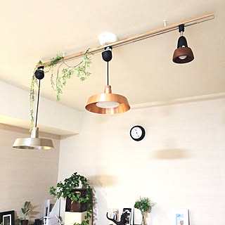 RoomClipアンケート/ペンダントライト/DIY/ダクトレール 照明のインテリア実例 - 2020-01-20 23:41:36