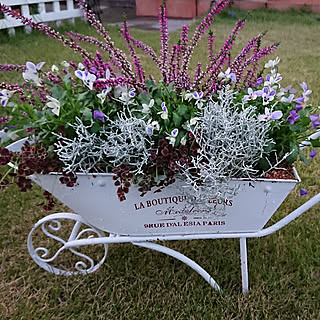 プラチーナのインテリア実例 Roomclip ルームクリップ