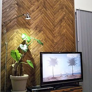 壁/天井/いいね♪いつもありがとうございます❤️/こどものいる暮らし/DIY/北海道...などのインテリア実例 - 2018-11-16 12:39:29