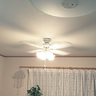 ポトス支柱仕立てのインテリア実例 Roomclip ルームクリップ ポトス支柱仕立てのインテリア実例 Roomclip ルームクリップ