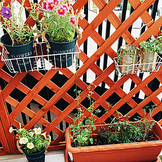 ガーデニング ナフコのおしゃれなインテリア 部屋 家具の実例 Roomclip ルームクリップ