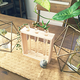 机/NO GREEN NO LIFE/多肉 水栽培/観葉植物/ダイソーのインテリア実例 - 2018-08-18 11:10:17