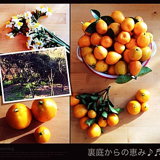 玄関/入り口/おはようございます♪(๑ᴖ◡ᴖ๑)♪/何時も有難う御座います♡/毎日がHappy♡/なかなか訪問+コメ出来ず...などのインテリア実例 - 2015-01-20 09:44:32