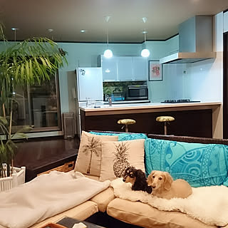 リビング/インスタもcocosorasaku/RC愛知同盟/お掃除風景/ビーチガールのお部屋...などのインテリア実例 - 2019-04-17 05:34:57