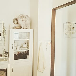 ねこ/ねこ部/ねこのいる日常/愛しのレイン/ナチュラルフレンチ/ナチュラルインテリア...などのインテリア実例 - 2015-11-25 12:26:08