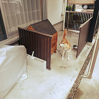 壁/天井/山善隠すガーデン家具モニター応募/すっきり暮らしたい/LIXIL/ジオーナB4型...などのインテリア実例 - 2018-07-04 17:25:00
