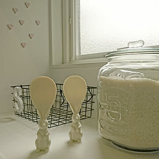 キッチン/キッチンツール/フランフラン/うさぎ/しゃもじ...などのインテリア実例 - 2019-02-25 22:18:38