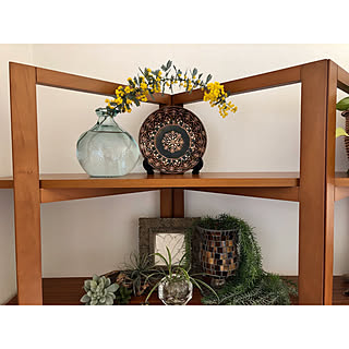 ミモザ/カフェ風/植物/癒し/グリーンのある暮らし...などのインテリア実例 - 2020-02-23 13:26:28