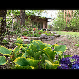 半日陰の庭のインテリア実例 Roomclip ルームクリップ