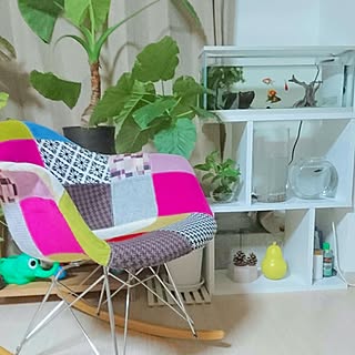 リビング/イームズ リプロダクト/カラフル/NO GREEN NO LIFE/観葉植物...などのインテリア実例 - 2016-07-31 20:11:05