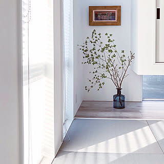 Ikea 啓翁桜のインテリア実例 Roomclip ルームクリップ Ikea 啓翁桜のインテリア実例 Roomclip ルームクリップ