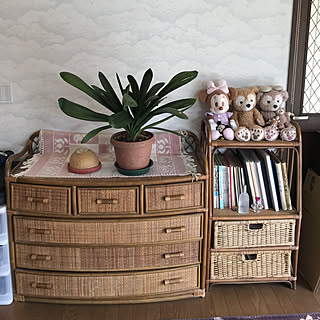 キッチン/子供部屋/観葉植物/グリーンネックレスのある暮らし/フォロワー様に感謝❤️...などのインテリア実例 - 2018-03-13 10:36:34