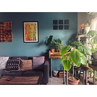 壁絵のインテリア実例 Roomclip ルームクリップ