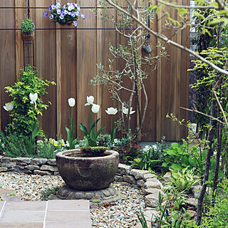 庭です/一番好きな場所/花壇の花/花のある暮らし/春の花...などのインテリア実例 - 2020-04-24 12:46:00