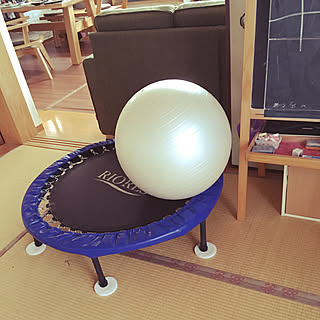 トランポリンカバーのインテリア実例 Roomclip ルームクリップ
