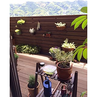 クッションモスのインテリア実例 Roomclip ルームクリップ クッションモスのインテリア実例 Roomclip ルームクリップ