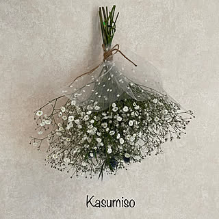 かすみ草ブーケのインテリア実例 Roomclip ルームクリップ