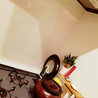 キッチン/子供と暮らす/いいね、フォロー本当に感謝です♡/いぬと暮らす/猫と暮らすのインテリア実例 - 2020-01-23 23:47:25