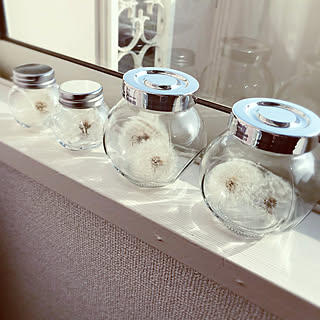 たんぽぽ綿毛の瓶詰めのインテリア実例 Roomclip ルームクリップ